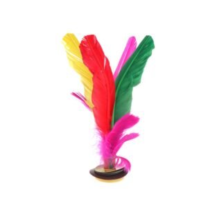 Kik N Fly Fancy Goose Feather Shuttlecock Jianzi